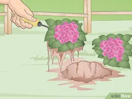 Image titled Look After a Horse Step 13