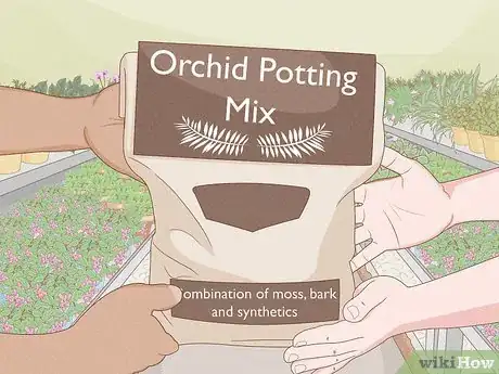Image titled Repot Orchids with Air Roots Step 3