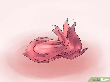 Image titled Grow Perennial Vegetables Step 7