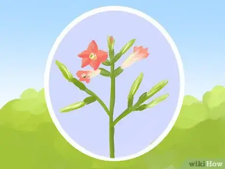 Image titled Plant a Deer‐Resistant Garden Step 11