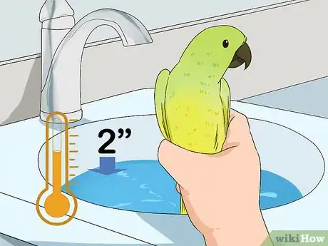 Image titled Groom Lories and Lorikeets Step 3