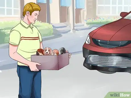 Image titled Find Dogs Needing to Be Rehomed Step 6