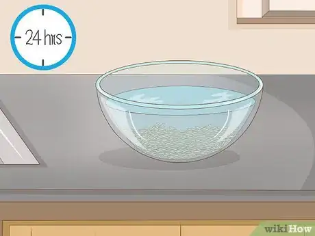 Image titled Plant Rice Indoors Step 2