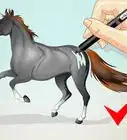 Draw a Realistic Looking Horse