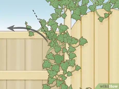 Image titled Prune Gate Vines Step 7