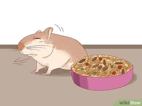 Image titled Treat Head Tilt in Gerbils Step 4