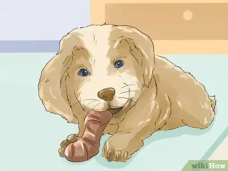 Image titled Help Your Dog Live Longer Step 21