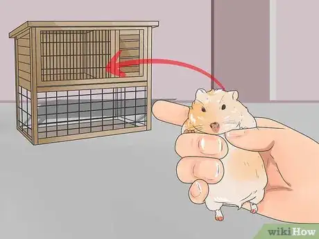 Image titled Travel With a Small Pet Step 18