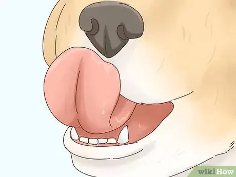 Image titled Recognize Signs of Anxiety in Dogs Step 13