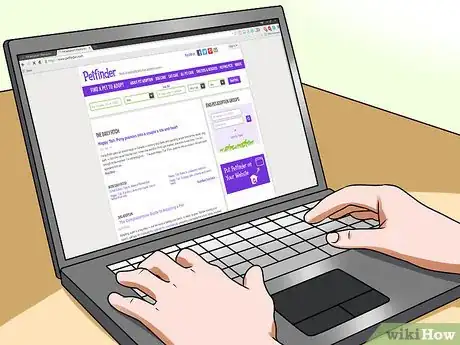 Image titled Adopt a Rabbit from a Shelter Step 1