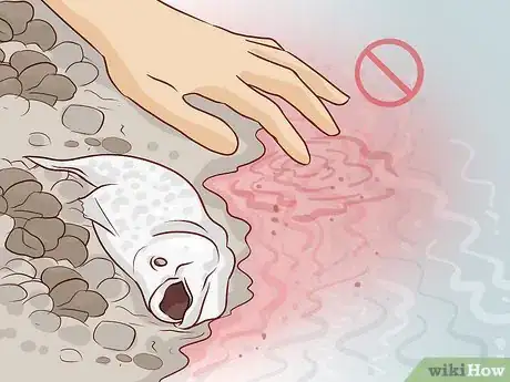 Image titled Prevent Red Tide Step 9