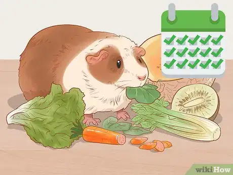 Image titled Care for a Crested Guinea Pig Step 9