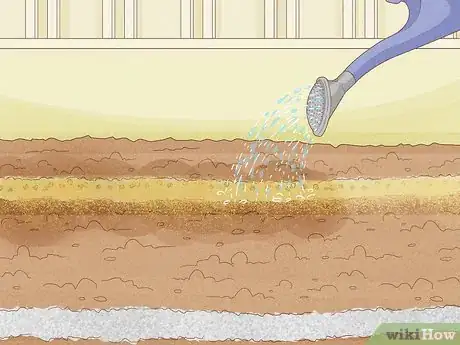 Image titled Grow Stock Flowers Step 9