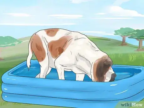 Image titled Have Fun Giving Your Dog a Flea Bath Step 5