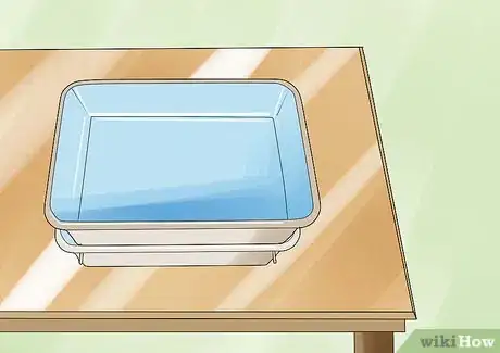 Image titled Germinate Beans on Moist Kitchen Paper Step 8