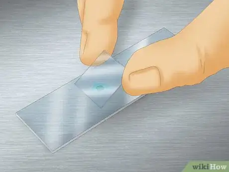Image titled Use a Microscope to Observe Microorganisms Step 9