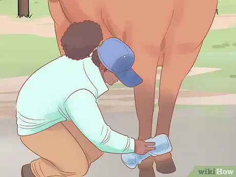 Image titled Groom a Horse for a Show Step 9