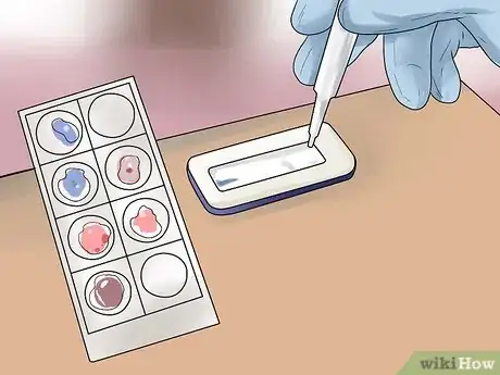 Image titled Get Dogs to Mate Step 9