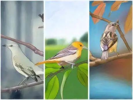 Image titled Attract Birds