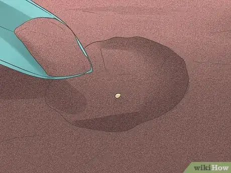 Image titled Grow Cauliflower Step 5