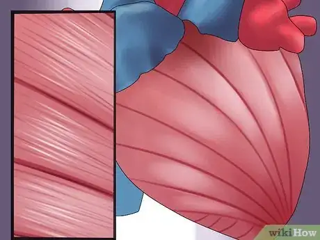 Image titled Determine Cardiac Output Step 15