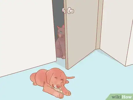 Image titled Keep a Pet When You Have Cats Step 7