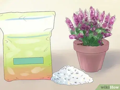 Image titled Care for Heather Plants Step 6