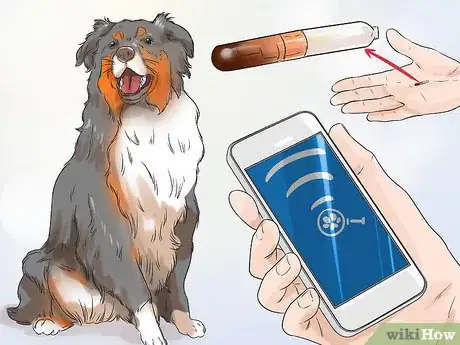Image titled Fire Drill Train Your Dog Step 15