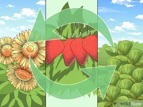 Image titled Make a Tower Garden Step 14