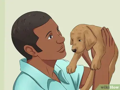 Image titled Select a Labrador Retriever Step 13