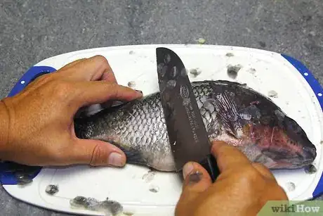 Image titled Cook or Grill a Whole Fish Step 1
