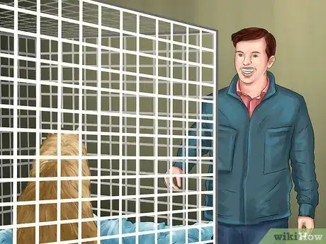 Image titled Adopt a Cat Through a Rescue Organization Step 2