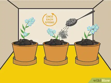 Image titled Plant Forget Me Not Seeds Step 11