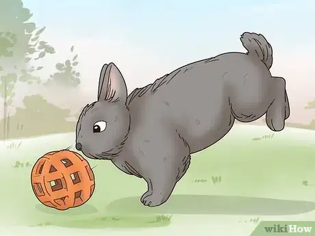 Image titled Care for a Polish Rabbit Step 9