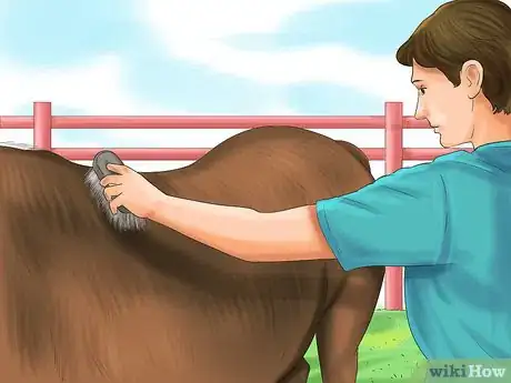 Image titled Care for Your Horse In the Winter Step 26