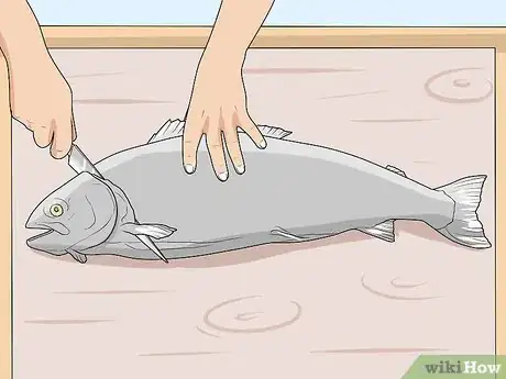 Image titled Skin Fish Step 9