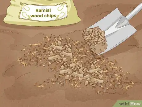 Image titled Improve Soil Step 14