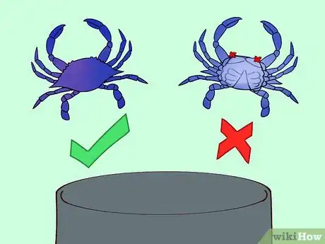 Image titled Eat a Maryland Blue Crab Step 4