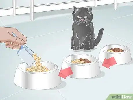 Image titled Put Your Cat on a Limited Ingredient Diet Step 5