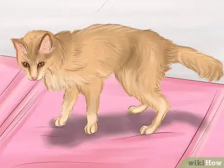 Image titled Keep Your Dog or Cat at Its Correct Weight Step 2