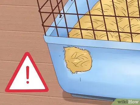 Image titled Keep Pet Mice Safe around Children Step 2