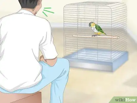 Image titled Handle Your Caique Parrot Step 1