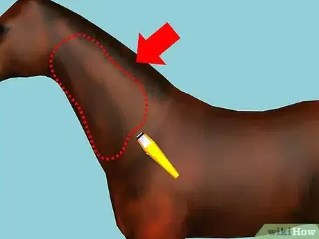 Image titled Clip Your Horse Step 15