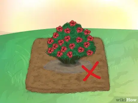 Image titled Grow Knockout Roses Step 9