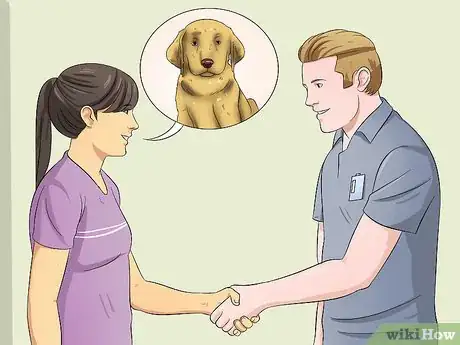 Image titled Select a Labrador Retriever Step 12