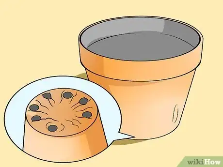 Image titled Plant Allium Bulbs Step 9