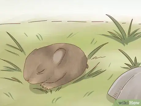 Image titled Care for a Baby Wild Rabbit Step 1