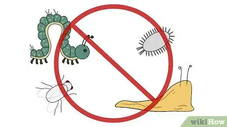 Image titled Buy a Strawberry Plant Step 8