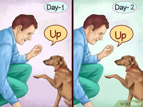 Image titled Build a Relationship With a Dog Step 7