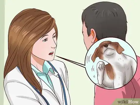 Image titled Solve Your Dog's Skin and Scratching Problems Step 11